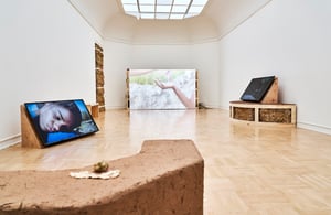 Eve Tagny, In the Underbelly of a Kernel