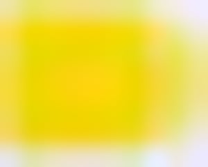 Monochromie. Zur Ästhetik publizierter Kunst