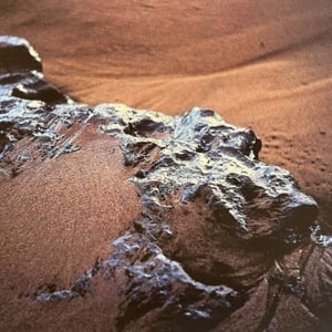 Het Archief Hammacher Fotografie en sculptuur