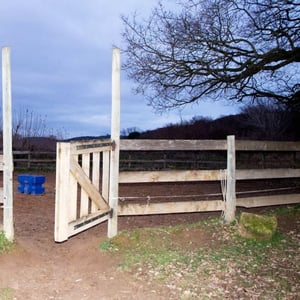 Claire Dantzer - Le cheval de paille