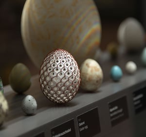 Oologische Studien — Der Ursprung liegt im Ei Studienausstellung