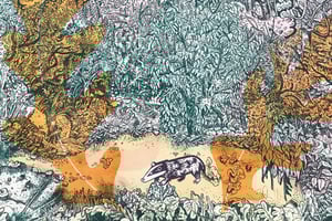 Lamarche & Ovize - 364 saisons