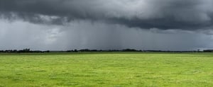 KunstenaarsCentrumBergen Nieuwe horizonten