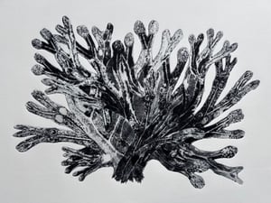 Grafisch jutten Museumcafé Polderhuis Westkapelle