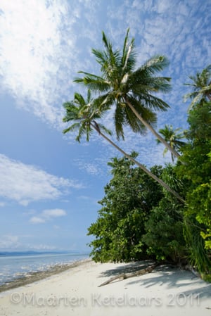 Vakantie