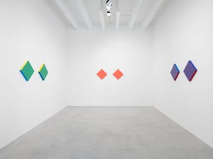 Spencer Finch »Decoy«