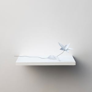 valerie_troost gallery Oostende O.10 | BLOMMEN (the power of a flower)