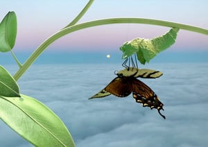 Life on Earth Art & Ecofeminism