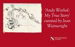 Andy Warhol: My True Story
