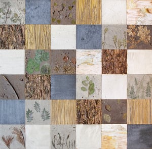 Holy Shit - Kunst over een veranderend landschap