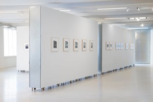 Guido Guidi. Da un'altra parte