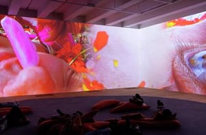Anniversary Highlights at Tate Modern, London