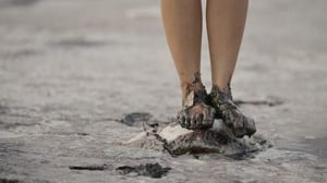 Art Now: Hylozoic/Desires at Tate Britain, London