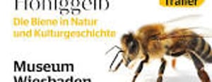 Honiggelb — Die Biene in Natur und Kulturgeschichte at Museum Wiesbaden, Wiesbaden