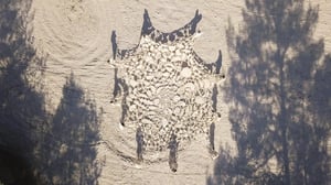 “Faire corps” au Forum at La Verrière, 