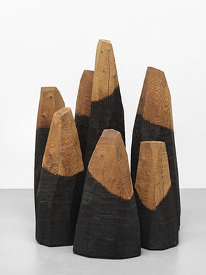 David Nash at Galerie Louis Gendre, Chamalieres