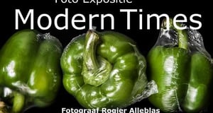 Komende expositie: Modern Times at Westlands Museum, Honselersdijk