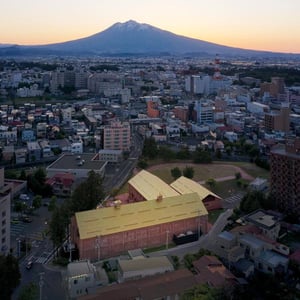 Tsuyoshi Tane at Cité De L'architecture & Du Patrimoine, Paris