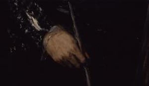 Bozar all over the P(a) lace - NocturneBeyond the exhibition Luz y sombra. Goya and Spanish Realism at Paleis voor Schone Kunsten BOZAR, Brussel