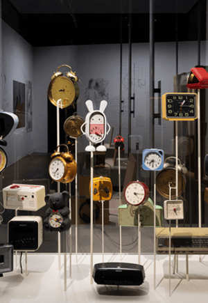 Le temps d’un rêve at Musée des Confluences, Lyon