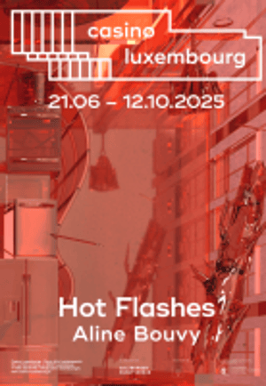 Hot Flashes at Casino Luxembourg Forum d’Art Contemporain, Luxembourg