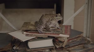 Chapter Iii: Das Bild Und Sein Buch Kim Schoen | Remainder at CHRISTINE KÖNIG GALERIE, Vienna