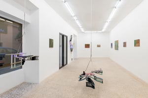 Pink specks Of Dust In A Garden With No Sun at BOMBON PROJECTS, Barcelona