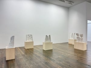 Adam Colton: Shining Through at Slewe, null