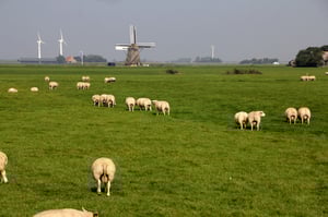 Gabriël Vriens over het Friese landschap at Museum Heerenveen, Heerenveen