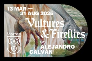 Alejandro Galván – Vultures & Fireflies at Marres – Huis voor Hedendaagse Cultuur, Maastricht