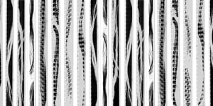 Paola Fernanda: Liminal Threads at PHOTOGRAPHIC GALLERY HIPPOLYTE, Helsinki