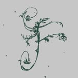 Pharmacognostic Atlas at GUNIA NOWIK GALLERY, Warsaw
