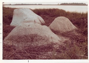 Beverly Buchanan. Weathering at Haus am Waldsee, Berlin