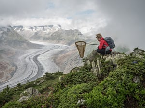 Lucas Foglia Vlindervlucht at Fotomuseum Den Haag, Den Haag