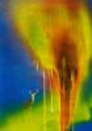 Katharina Grosse The Sprayed Dear at Staatsgalerie Stuttgart, null