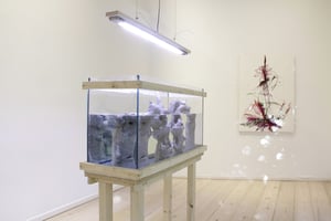 Mahdad Alizadeh. nonexisted dialogues: the Reverse Flow at Galerie Georg Nothelfer, Berlin