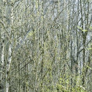 Noorderlicht Biënnale Machine Entanglements at Museum Belvédère – Afslag BLV, Heerenveen