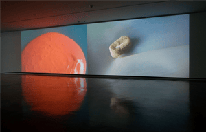 Eric Lanz zusehends at Museum Morsbroich, null