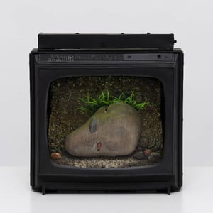 Carl Cheng: Nature Never Loses at Museum Tinguely, Basel