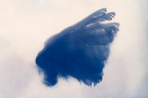 Ester Vonplon – Flügelschlag at Fotomuseum Winterthur, Winterthur