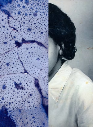 Miteinander – Kara Springer im Zwiegespräch mit der Sammlung des Fotomuseum Winterthur at Fotomuseum Winterthur, Winterthur