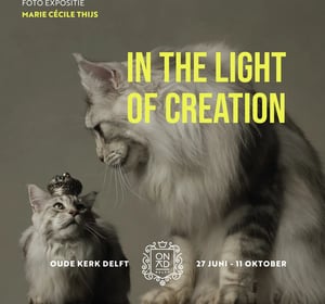 Marie Cécile Thijs - In The Light of Creation at Oude Kerk Delft, Delft