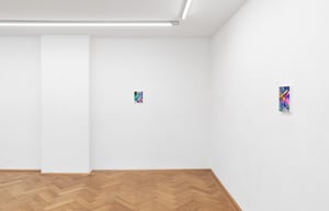 Boban Andjelkovic - Pink Pong at Britta Rettberg, München