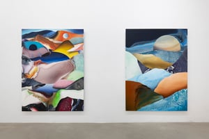 Dave Bopp: Worlds Collide / Mountains Form at GALERIE MICHAEL STURM, Stuttgart