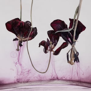 MicroverseKathrin Linkersdorff