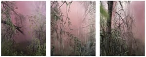 Sandra Kantanen at Norton Museum of Art