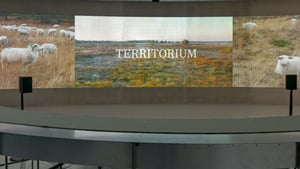 Territorium Rabo Kunstcollectie in A4.04 (vierde verdieping) at Depot Boijmans Van Beuningen, Rotterdam