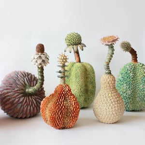 Kaori Kurihara. Céramique Botanique at Purmerends Museum, Purmerend