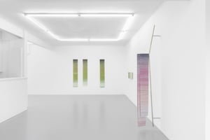 She always starts by planting a tree at Irene Laub Gallery, Brussel