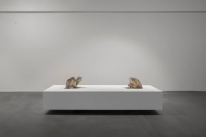 Jaroslav Kyša | Probing the Unseen curated by Silvia Van Espen at ZAHORIAN &CO GALLERY, Bratislava